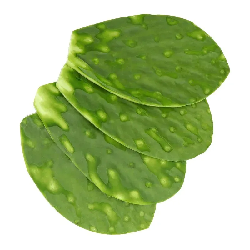 Nopal Cambray Agroecológico 1 paquete 10 piezas