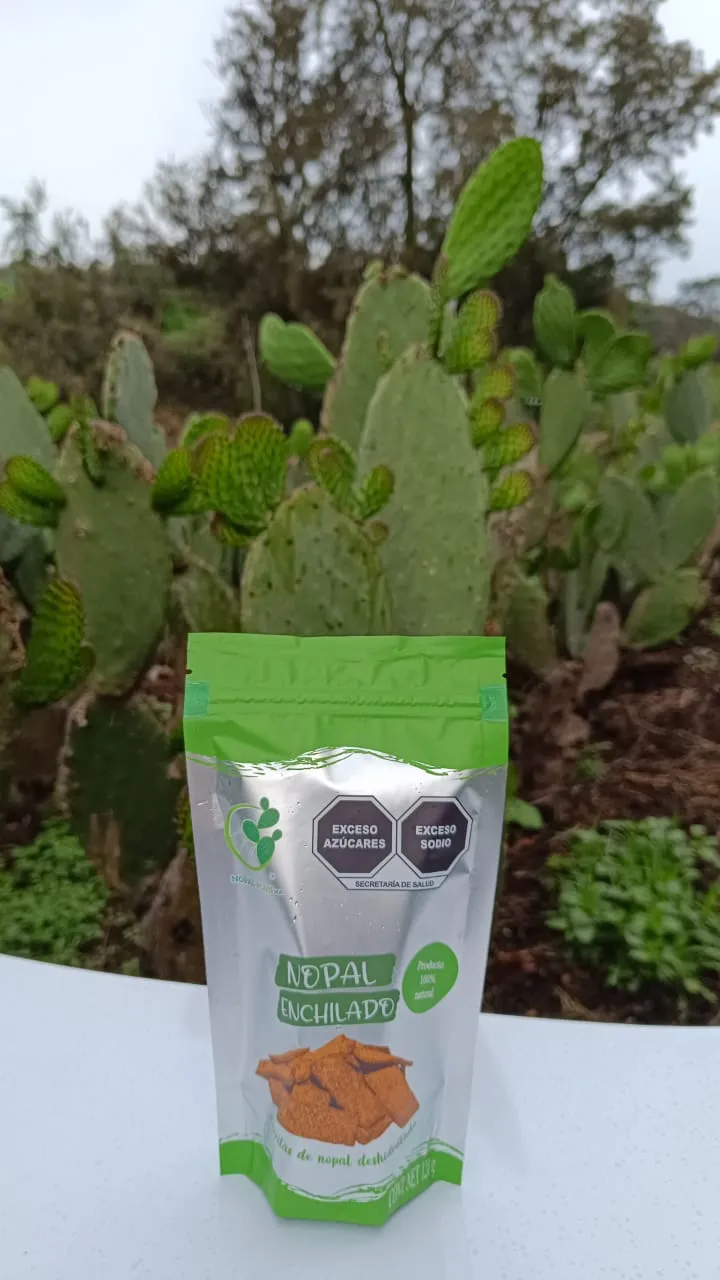 Barritas de nopal enchilado