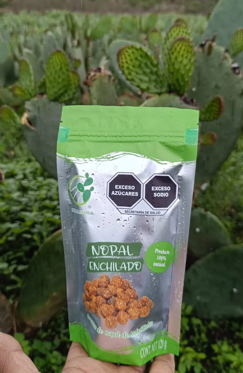 Bolitas de Nopal enchilado