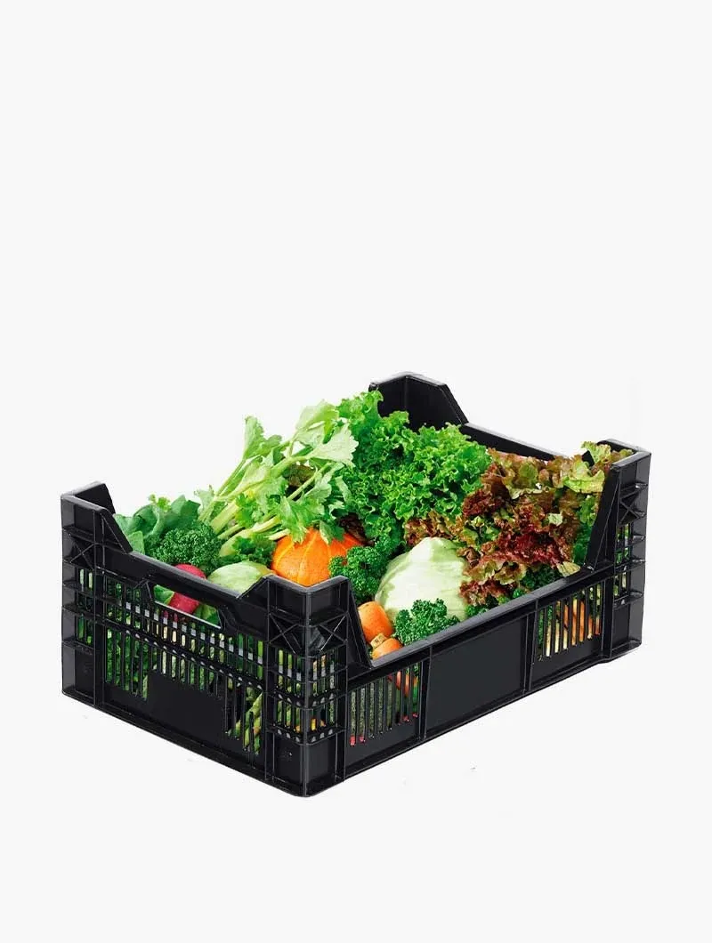 CAJA INDIVIDUAL HAKO 