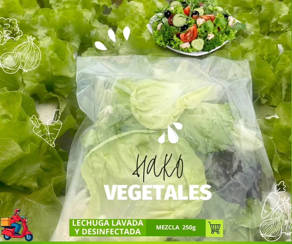 Lechuga Italiana Hidropónica 1 paquete