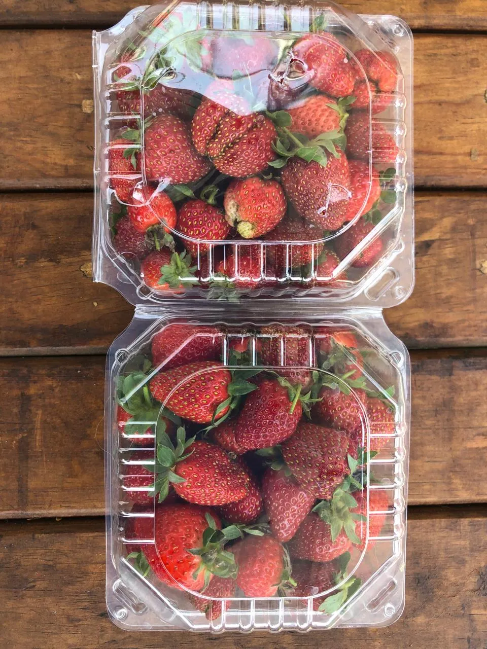 Fresa 1 domo 400g