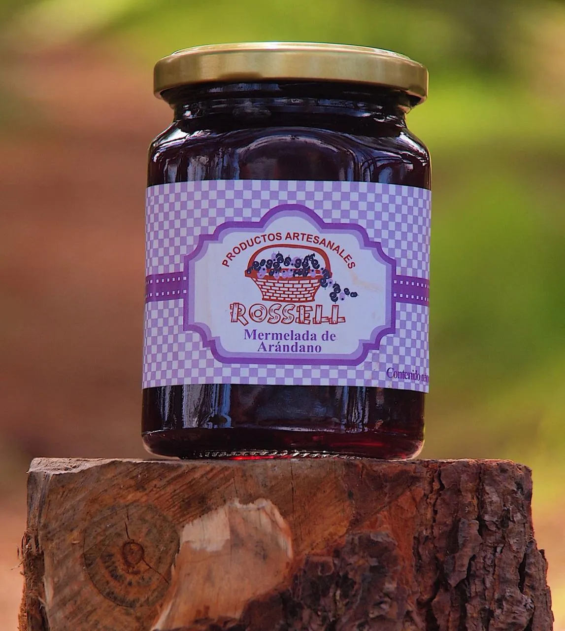 Mermelada de Blue Berry Organica