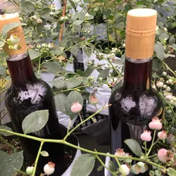 Vino de Blue Berry orgánico (1 litro)
